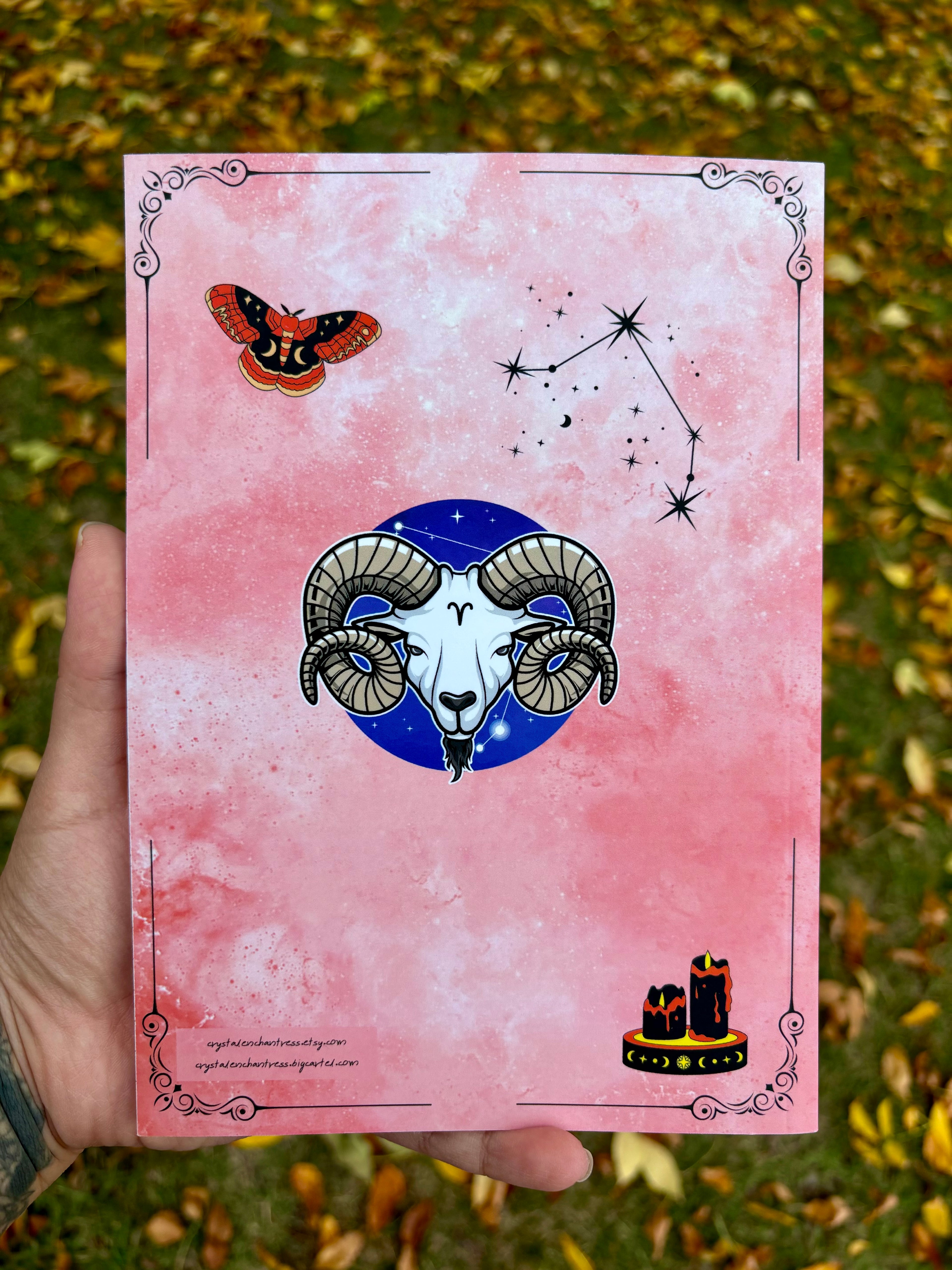 Aries Journal